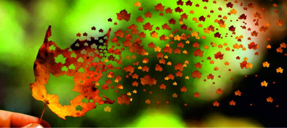 Картинка к статье: Top fragrances for autumn. Review from Sunday21.